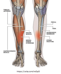 ART - Active Release - 3 Dimensional Physical Therapy