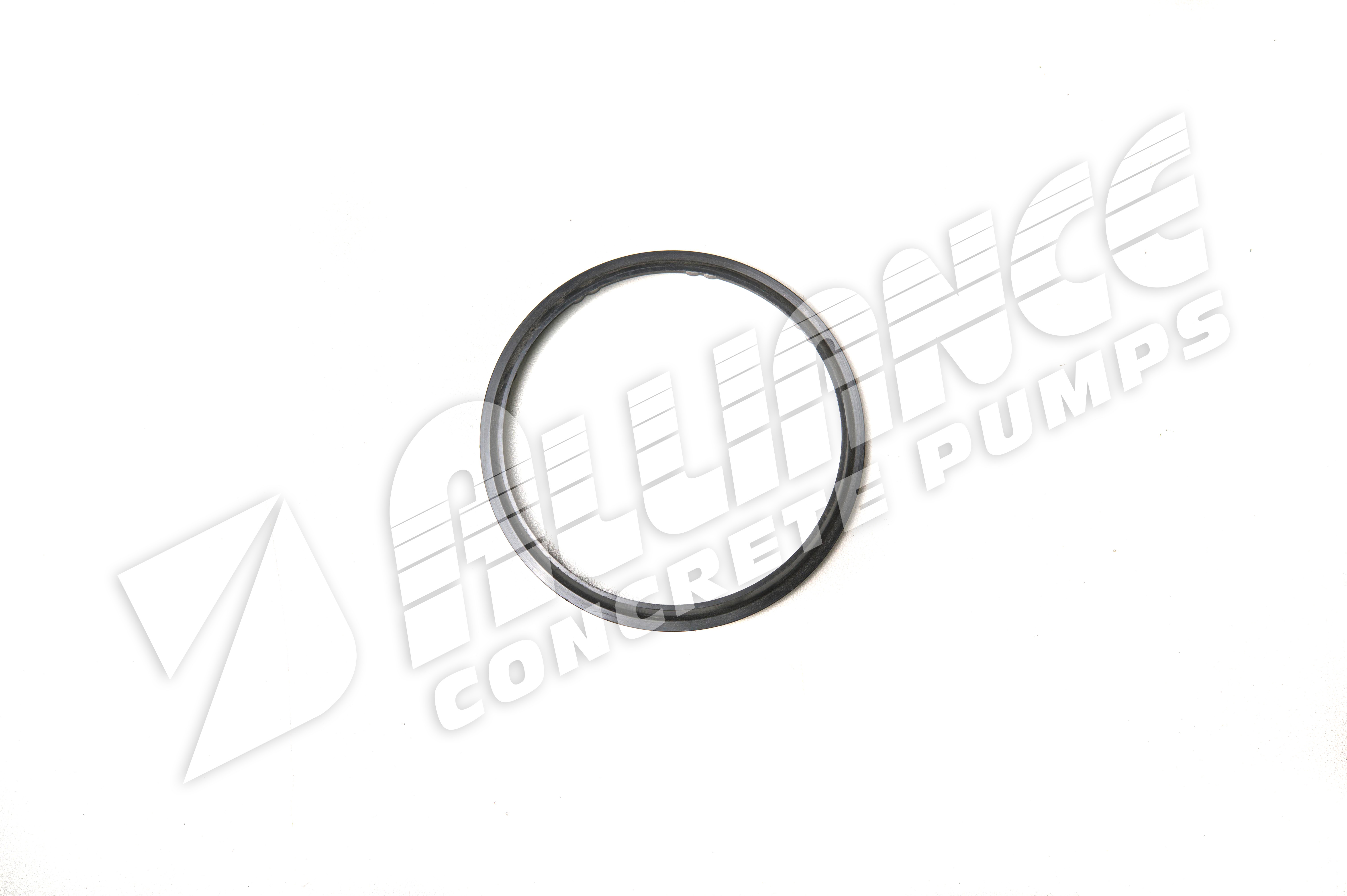 Dust Seal