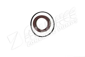 Seal Kit, Boom Pump