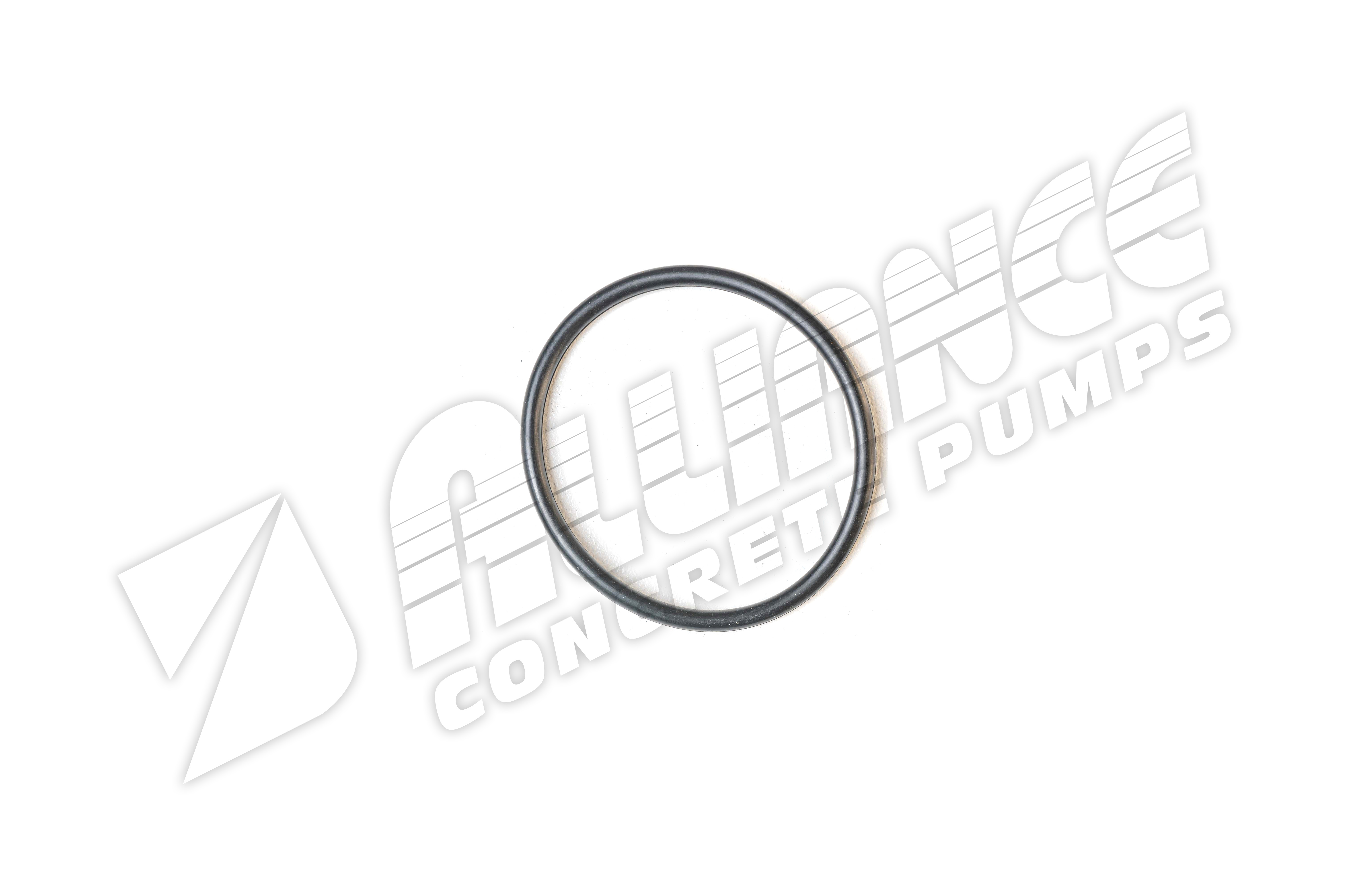 Schwing O-Ring 10000677