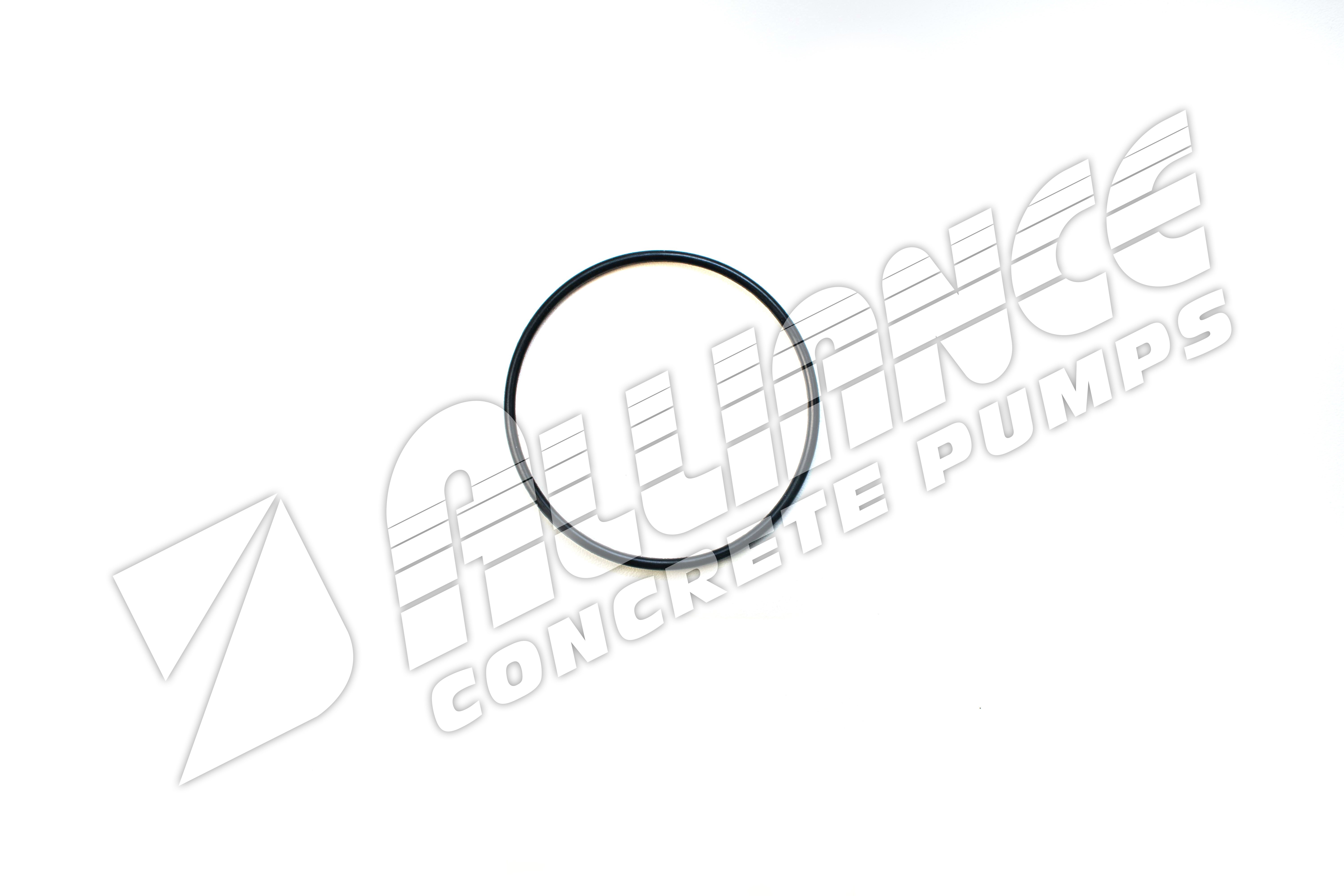 Concord Boom Filter O-Ring (Requires 1)