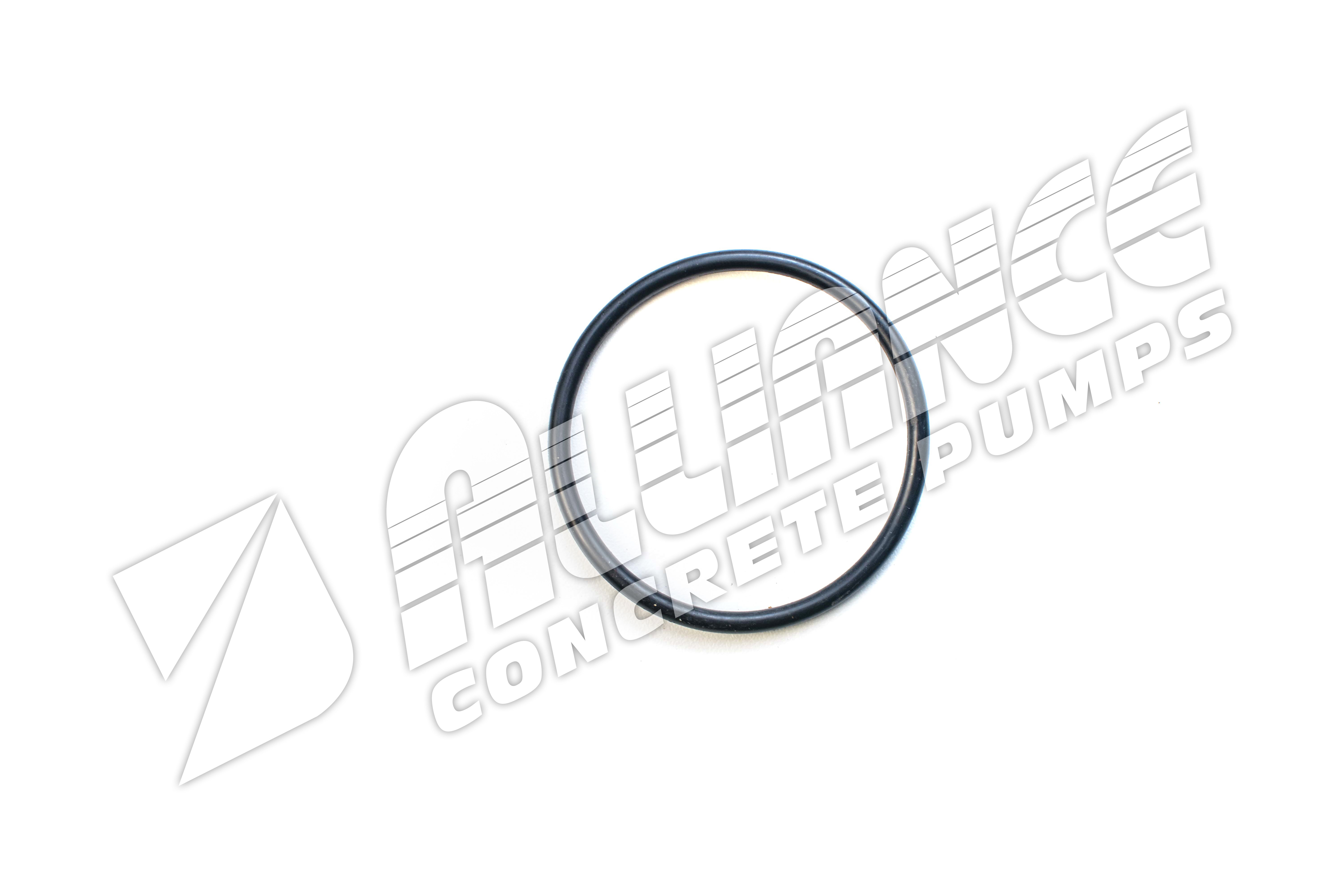 O-Ring For Boom Filter (Requires 1)