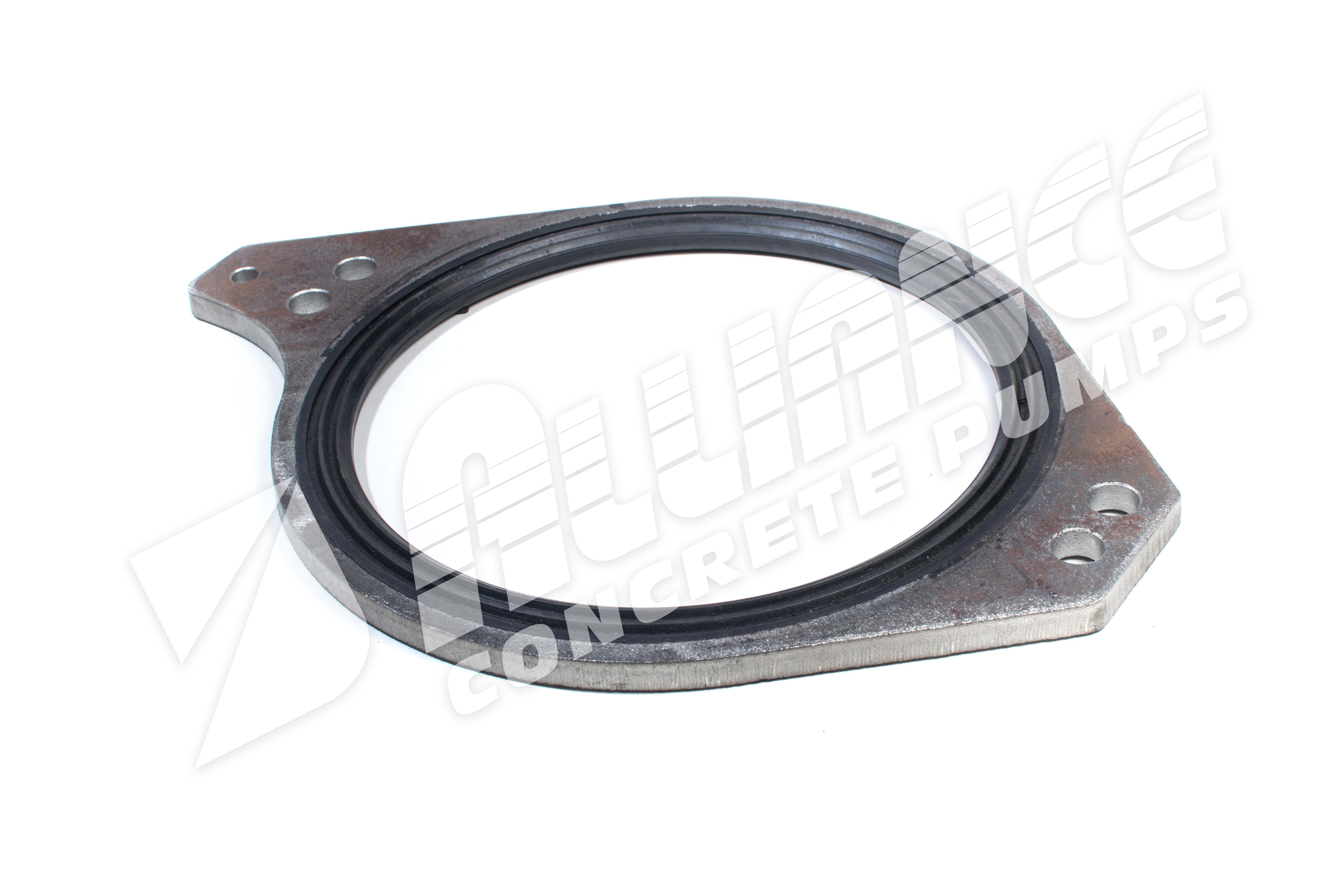 Sealing Ring