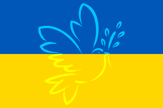 Collection for Ukraine